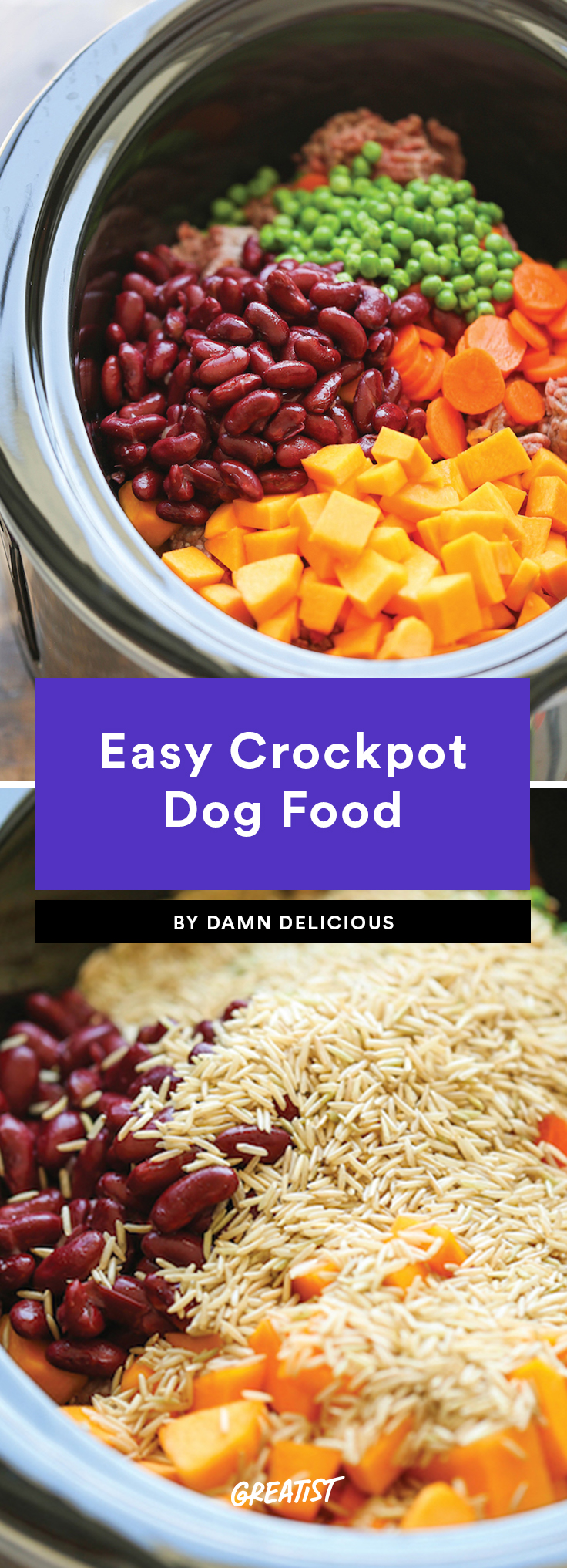 Healthy Food To Cook For Dogs | Healthy Food Recipes